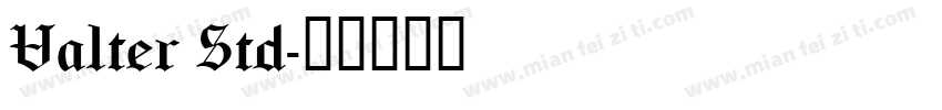 Valter Std字体转换